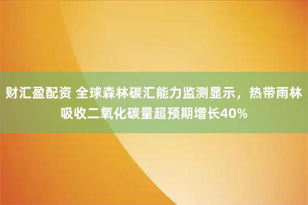 财汇盈配资 全球森林碳汇能力监测显示，热带雨林吸收二氧化碳量超预期增长40%